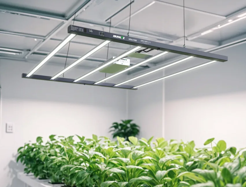 Grow lights for indoor plants in commercial greenhouse by Nanolux